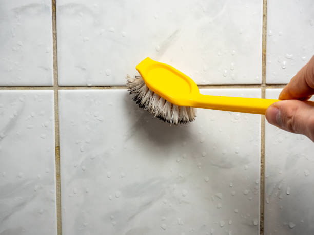 Best Mold Removal Specialists  in Oak Grove, AL