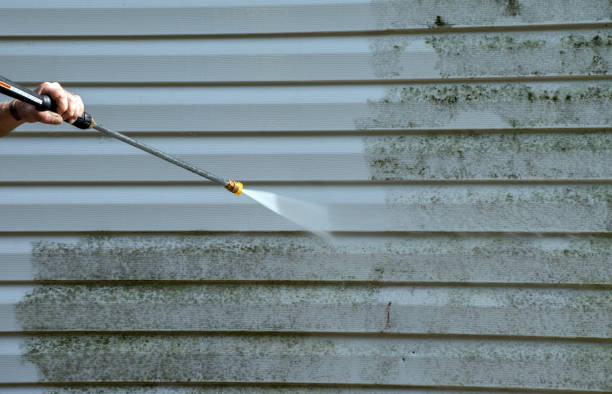 Best Attic Mold Removal  in Oak Grove, AL